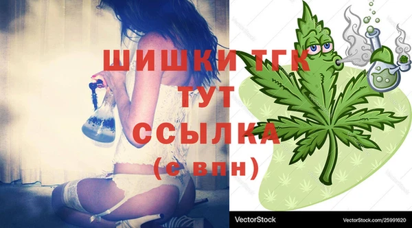 стаф Мегион