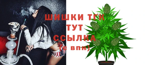 spice Медвежьегорск