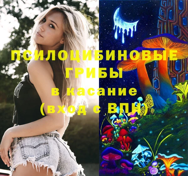 стаф Мегион