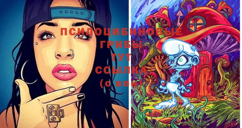 Галлюциногенные грибы Cubensis Тырныауз